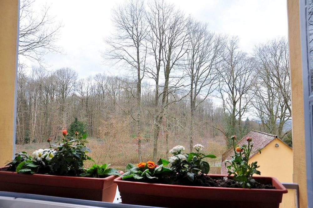 Au Jardin De Lisa Bed & Breakfast Cherreau Bagian luar foto