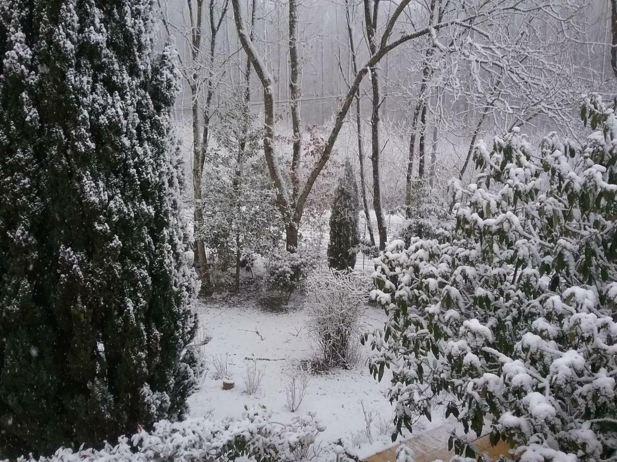 Au Jardin De Lisa Bed & Breakfast Cherreau Bagian luar foto